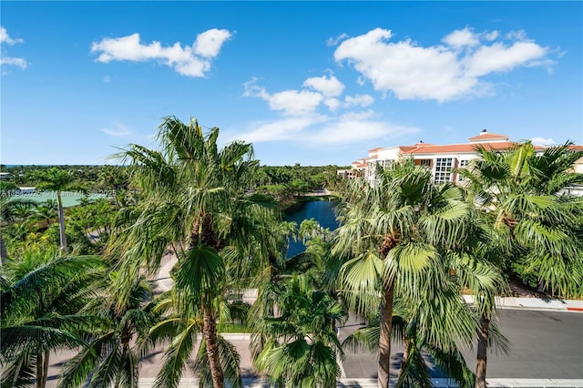 765 Crandon Blvd Unit Ph-12, Key Biscayne, FL 33149 - photo 17