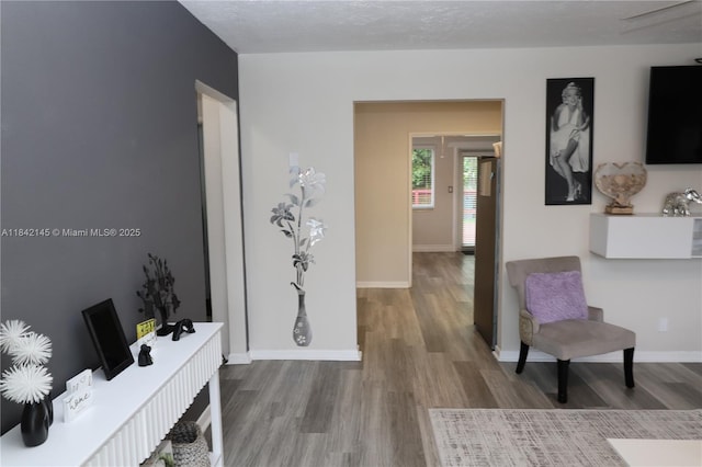 2446 Grant St, Hollywood, FL 33020 - photo 4
