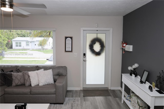 2446 Grant St, Hollywood, FL 33020 - photo 5