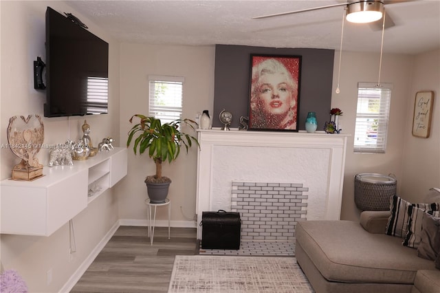 2446 Grant St, Hollywood, FL 33020 - photo 6