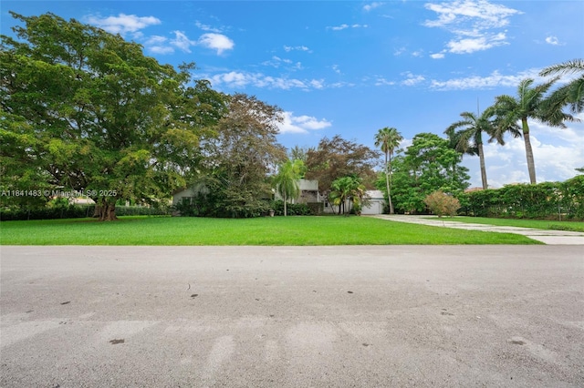 6002 SW 79th Ct, Miami, FL 33143 - photo 7