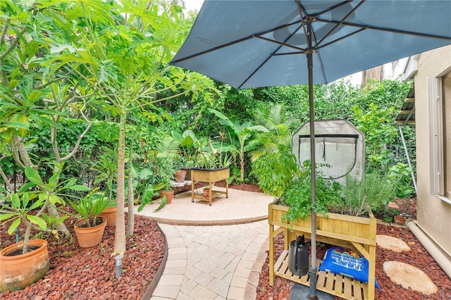 3631 NW 71st St, Coconut Creek, FL 33073 - photo 34