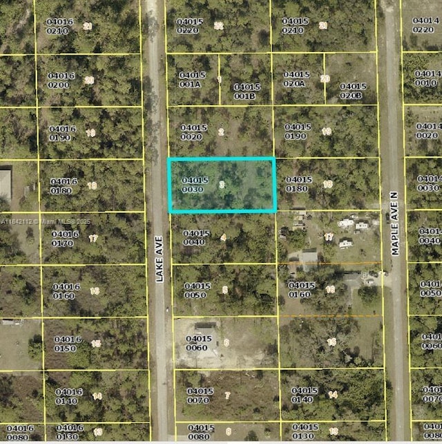 1714 Lake Ave, Lehigh Acres, FL 33972 - photo 1