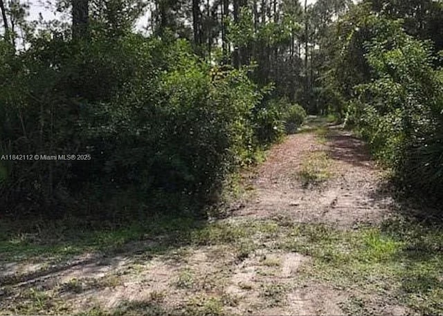 1714 Lake Ave, Lehigh Acres, FL 33972 - photo 2
