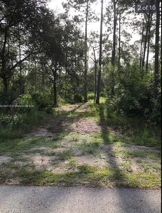 1714 Lake Ave, Lehigh Acres, FL 33972 - photo 3