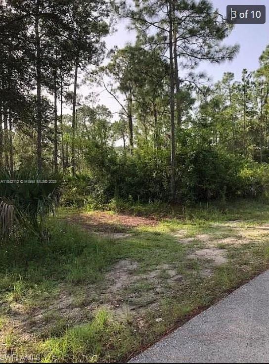 1714 Lake Ave, Lehigh Acres, FL 33972 - photo 4
