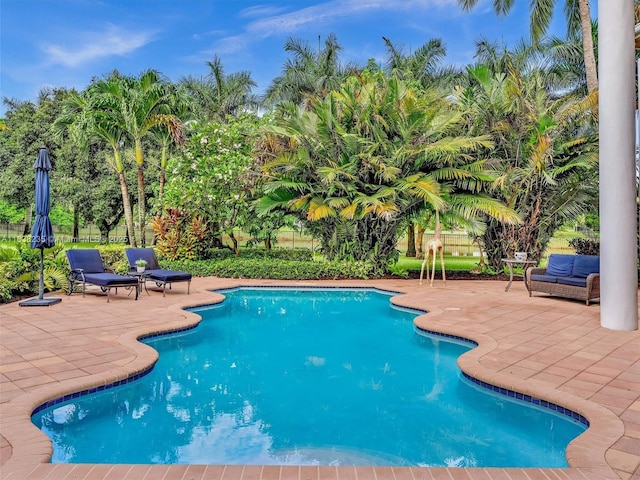 3849 Gulfstream Way, Davie, FL 33328 - photo 41