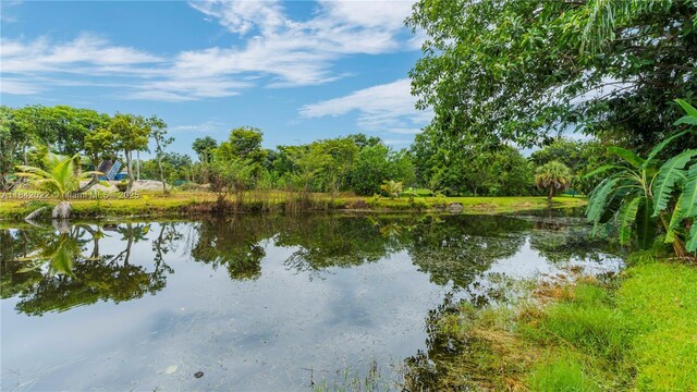 3201 SW 117th Ave, Davie, FL 33330 - photo 58