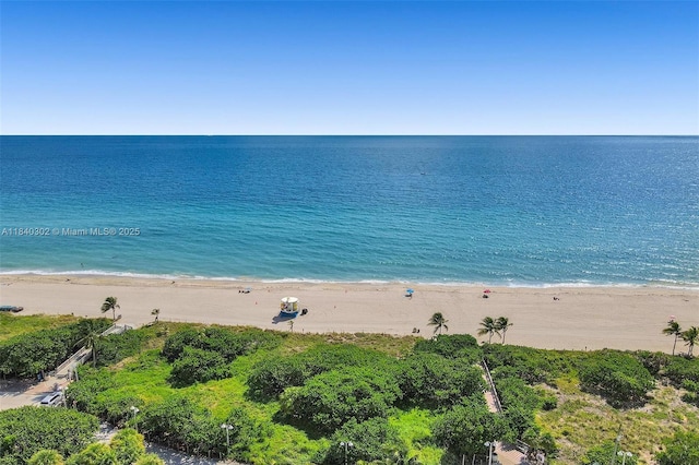 1201 S Ocean Dr Unit 402S, Hollywood, FL 33019 - photo 30