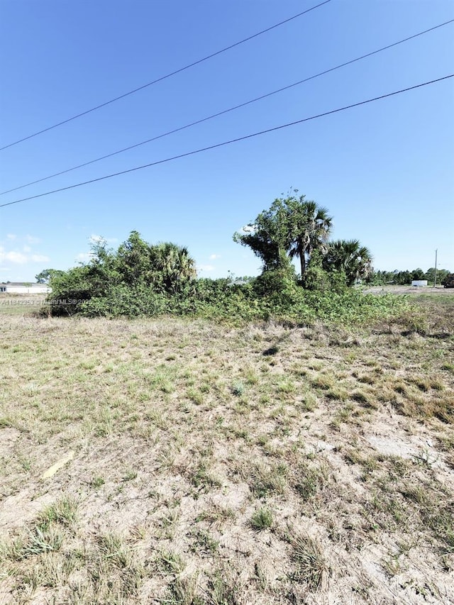 834 Jaguar Blvd, Lehigh Acres, FL 33974 - photo 2