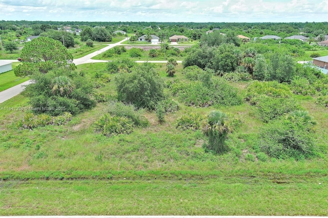 841 Milwaukee Blvd, Lehigh Acres, FL 33974 - photo 1