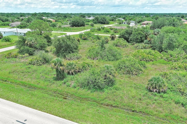 841 Milwaukee Blvd, Lehigh Acres, FL 33974 - photo 3