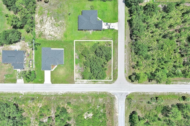 2500 E 10th St, Lehigh Acres, FL 33936 - photo 2