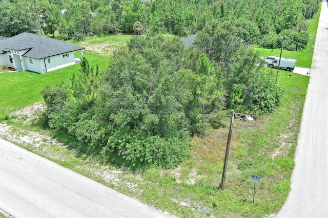 2500 E 10th St, Lehigh Acres, FL 33936 - photo 3
