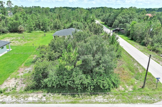 2500 E 10th St, Lehigh Acres, FL 33936 - photo 5