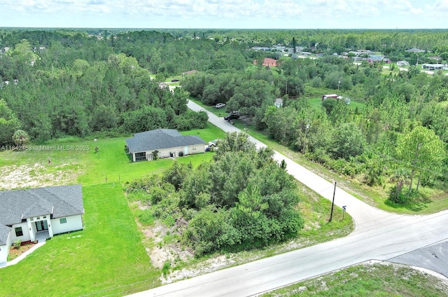 2500 E 10th St, Lehigh Acres, FL 33936 - photo 7