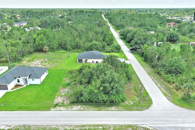 2500 E 10th St, Lehigh Acres, FL 33936 - photo 10