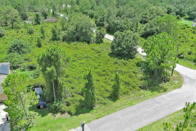 3100 E 13th St, Lehigh Acres, FL 33972 - photo 1