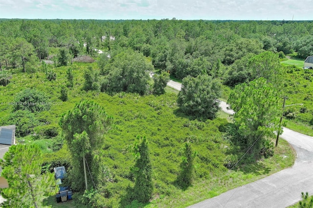 3100 E 13th St, Lehigh Acres, FL 33972 - photo 3