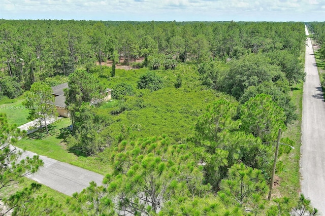 3100 E 13th St, Lehigh Acres, FL 33972 - photo 4