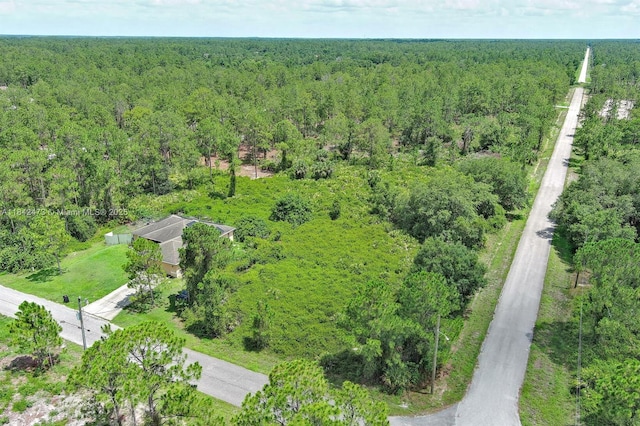 3100 E 13th St, Lehigh Acres, FL 33972 - photo 6