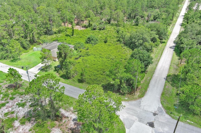3100 E 13th St, Lehigh Acres, FL 33972 - photo 7