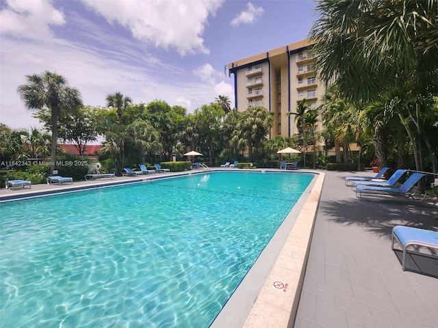 801 NW 47th Ave Unit 119W, Miami, FL 33126 - photo 6