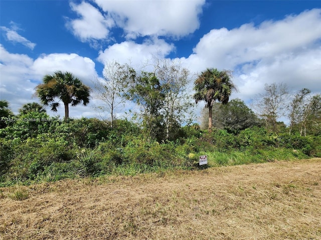 760 N Brida St, Clewiston, FL 33440 - photo 1