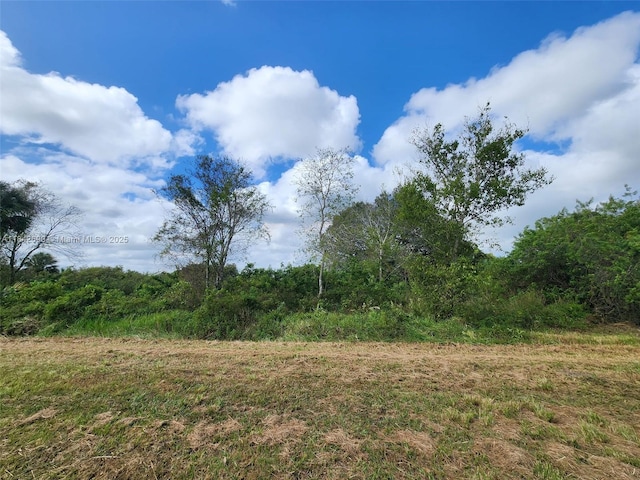 760 N Brida St, Clewiston, FL 33440 - photo 3
