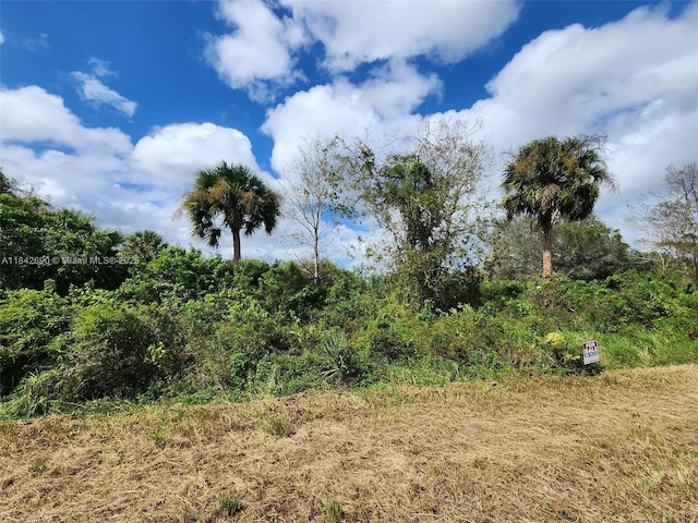 760 N Brida St, Clewiston, FL 33440 - photo 8