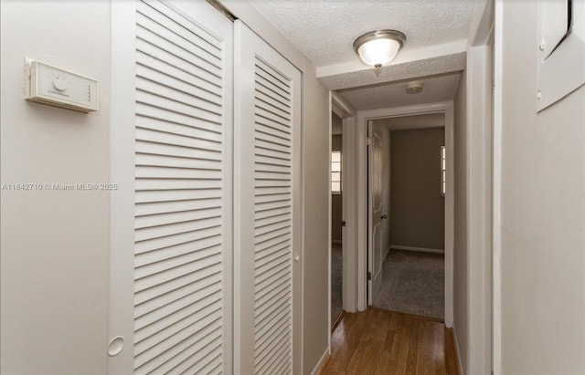 2145 Pierce St Unit 218, Hollywood, FL 33020 - photo 16
