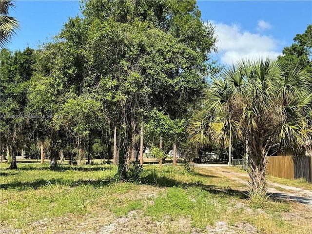 0 Magnolia Ave, La Belle, FL 33935 - photo 4