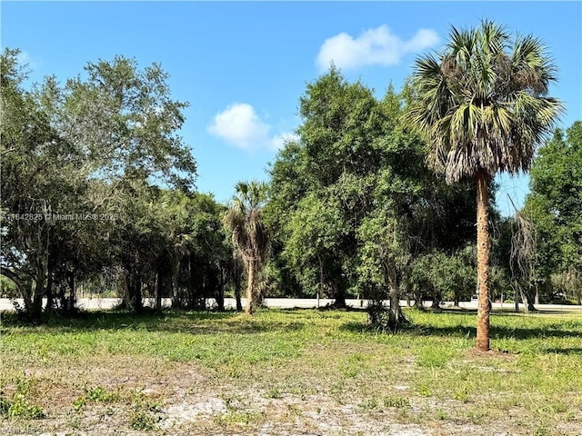 0 Magnolia Ave, La Belle, FL 33935 - photo 5