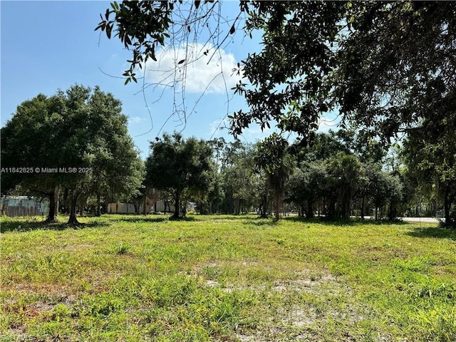 0 Magnolia Ave, La Belle, FL 33935 - photo 6
