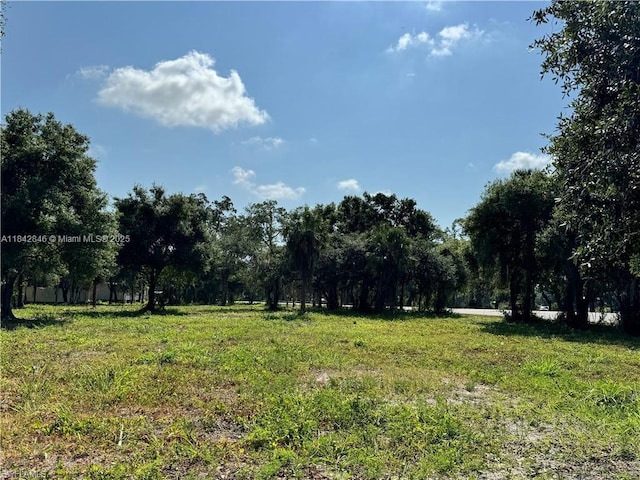 500 Avalon Ave, La Belle, FL 33935 - photo 5
