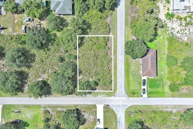 2517 W 67th St, Lehigh Acres, FL 33971 - photo 2