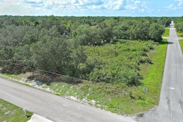 2517 W 67th St, Lehigh Acres, FL 33971 - photo 3