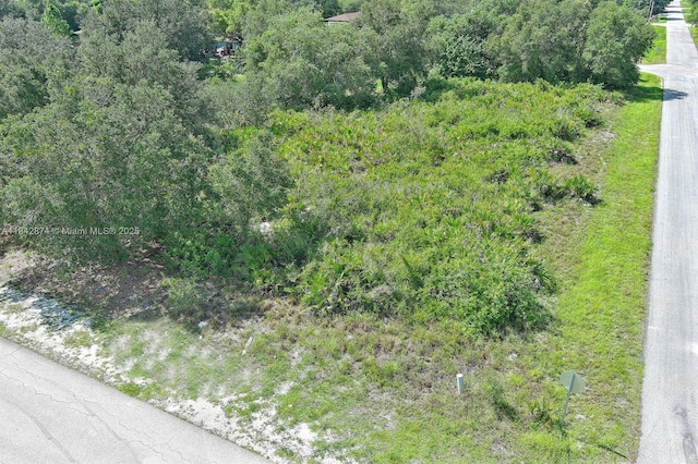 2517 W 67th St, Lehigh Acres, FL 33971 - photo 4