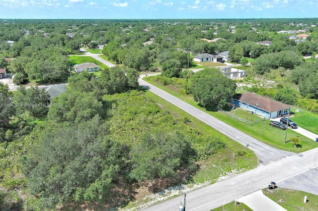 2517 W 67th St, Lehigh Acres, FL 33971 - photo 7