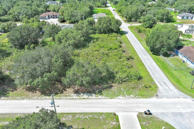 2517 W 67th St, Lehigh Acres, FL 33971 - photo 9