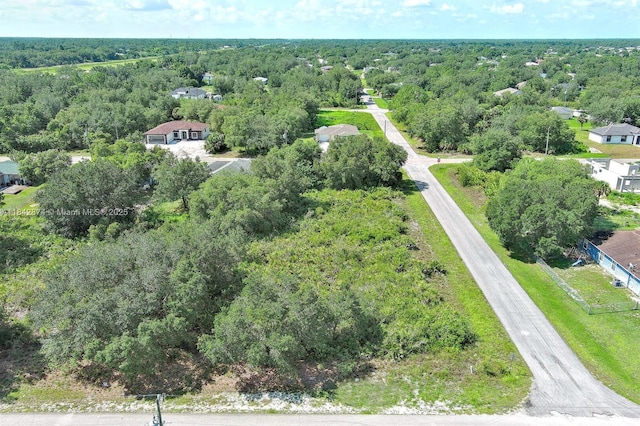 2517 W 67th St, Lehigh Acres, FL 33971 - photo 10