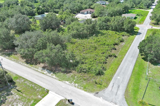 2517 W 67th St, Lehigh Acres, FL 33971 - photo 11