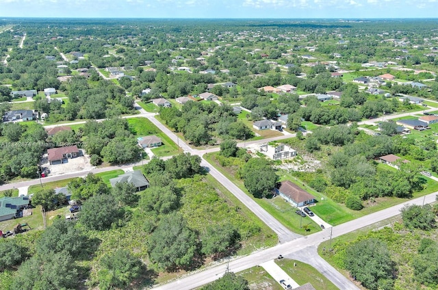 2517 W 67th St, Lehigh Acres, FL 33971 - photo 16