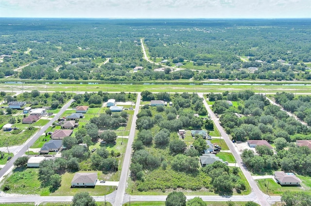 2517 W 67th St, Lehigh Acres, FL 33971 - photo 21