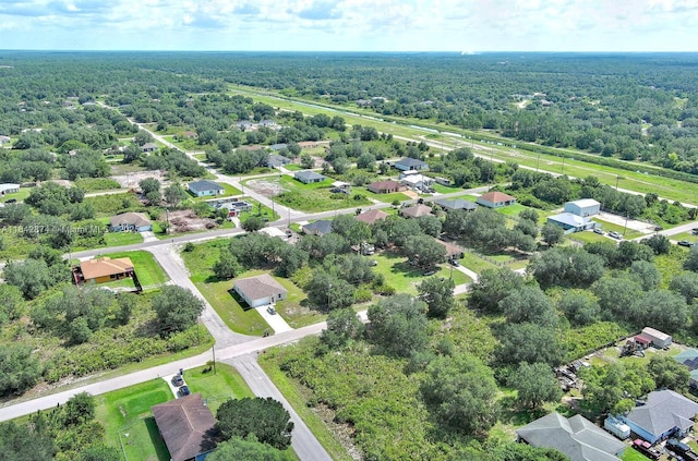 2517 W 67th St, Lehigh Acres, FL 33971 - photo 22