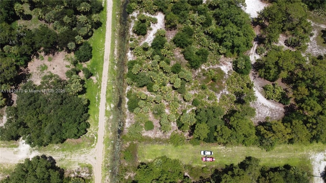 614 S Estribo, Clewiston, FL 33440 - photo 3