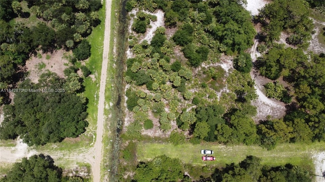 614 S Estribo, Clewiston, FL 33440 - photo 5