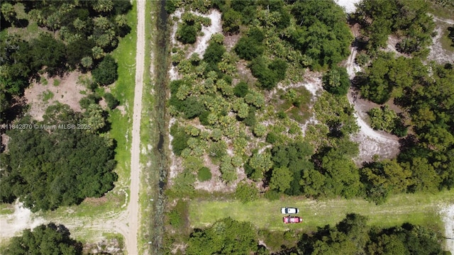 614 S Estribo, Clewiston, FL 33440 - photo 6