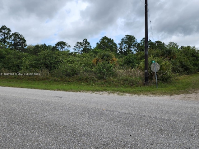 193 Avenida Del Sur, Clewiston, FL 33440 - photo 6