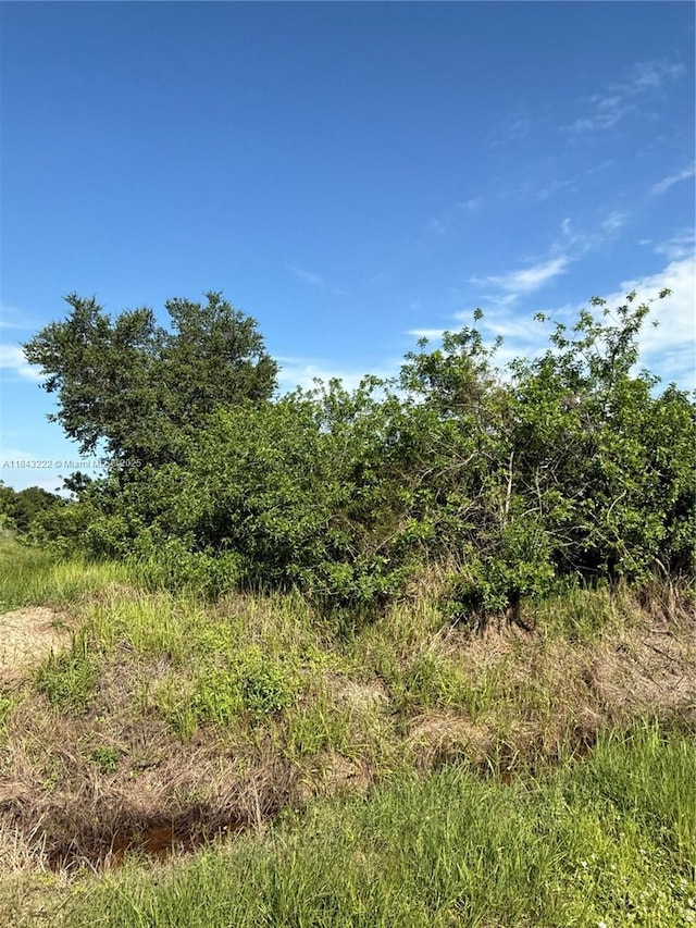610 N Jinete St, Clewiston, FL 33440 - photo 13